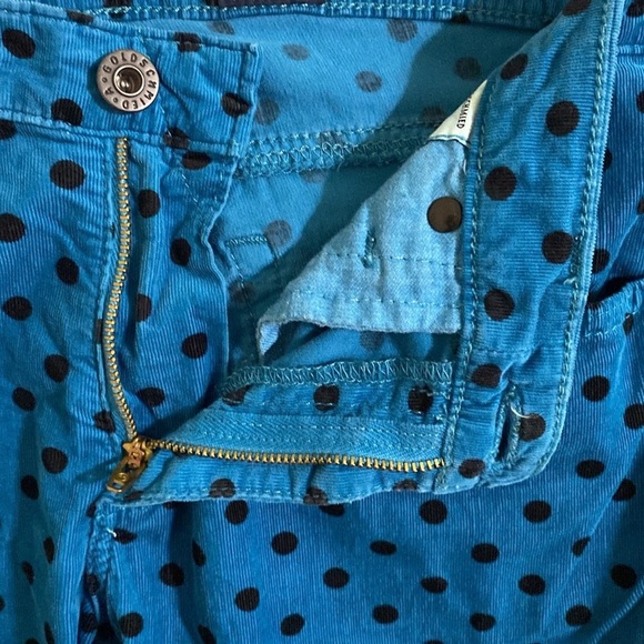 AG the Stevie Blue Polka Dot Pants corduroy women 29R slim straight Y2K retro - Picture 7 of 12
